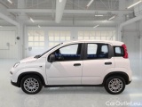  Fiat  Panda FIAT  / 2011 / 5P / BERLINA 1.0 FIREFLY 70CV SeS HYBRID #8
