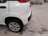  Fiat  Panda FIAT  / 2011 / 5P / BERLINA 0.9 TWINAIR TURBO NATURAL POWER EASY #66