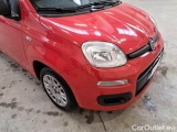  Fiat  Panda FIAT  / 2011 / 5P / BERLINA 1.2 69 CV EASYPOWER E6D-TEMP EASY #39