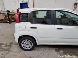  Fiat  Panda FIAT  / 2011 / 5P / BERLINA 1.2 69CV E6 EASY #37