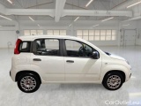  Fiat  Panda FIAT  / 2011 / 5P / BERLINA 1.2 69CV SeS E6D-TEMP EASY #7