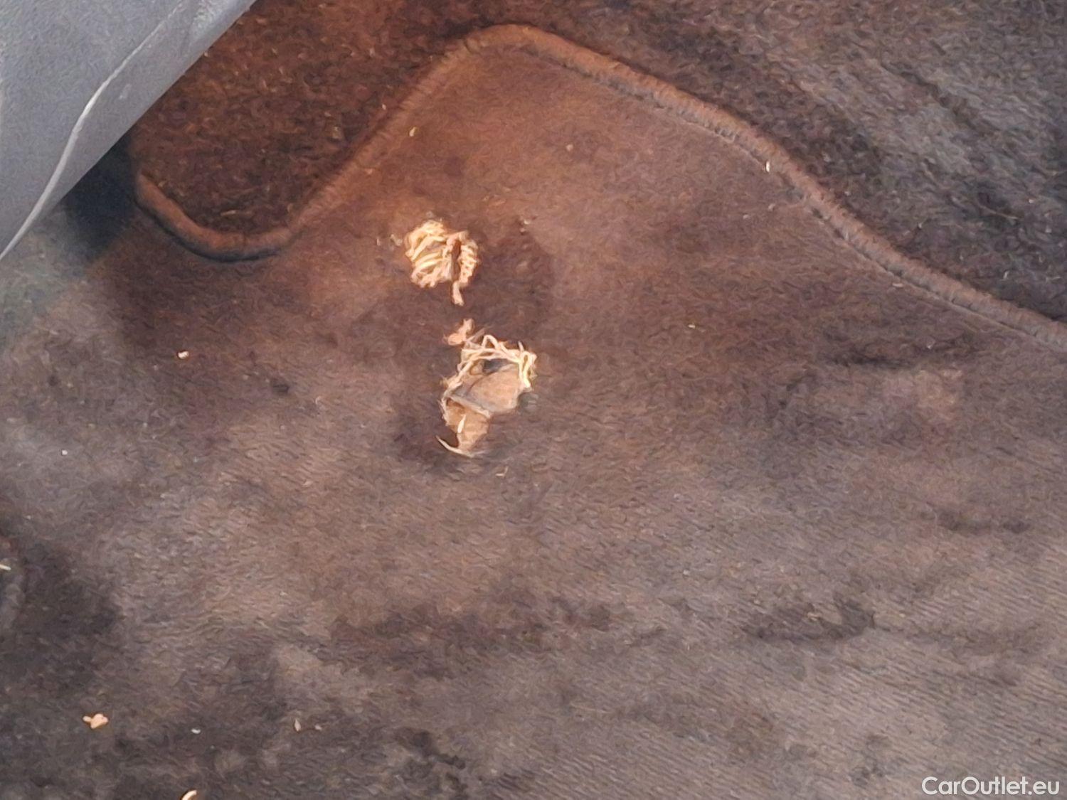  Skoda  Octavia Skoda,  Combi FL'16, Skoda  Combi 1.6 CRTDI GreenTec 85kW DSG7 A #83