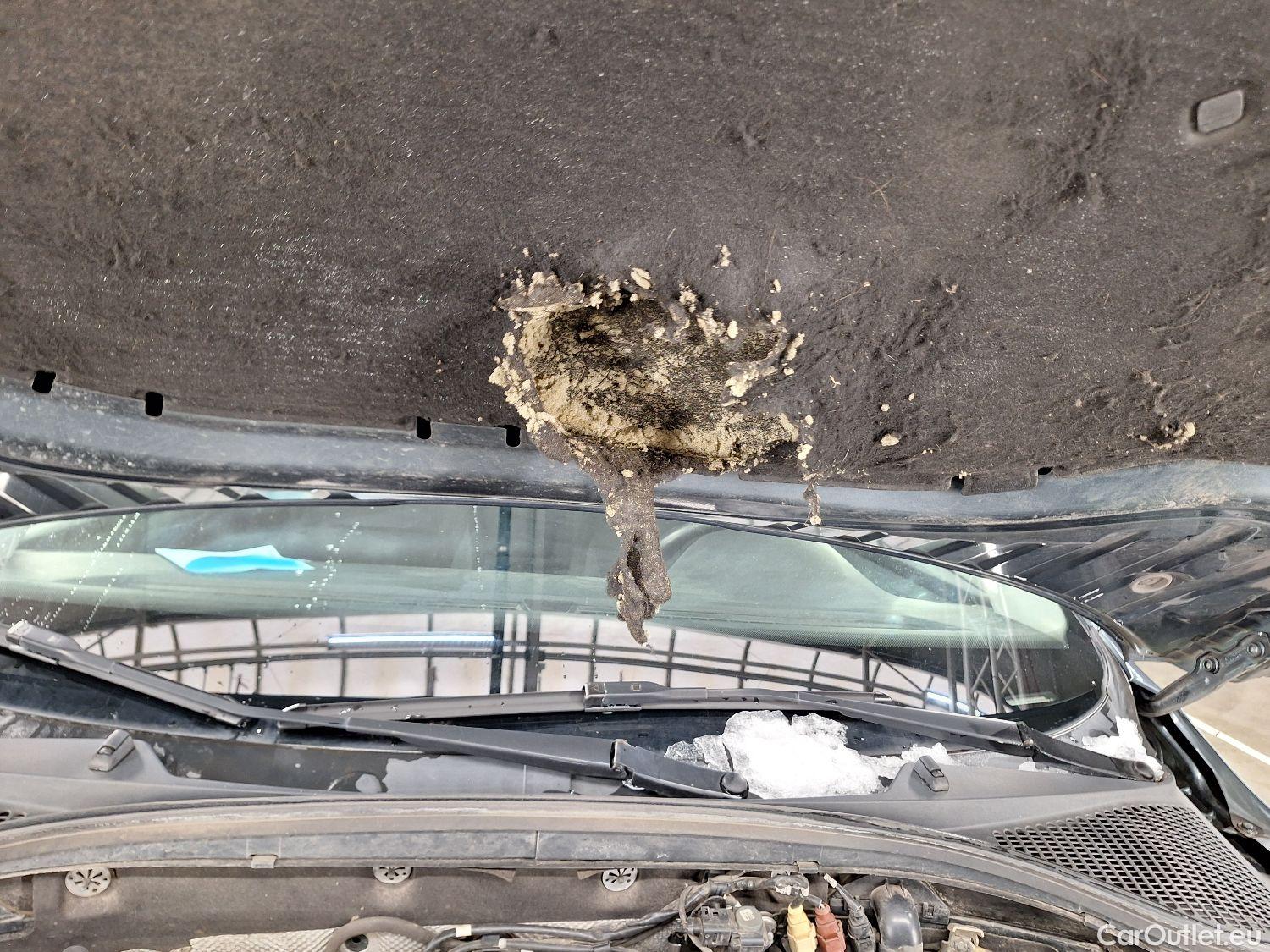  Skoda  Octavia Skoda,  Combi FL'16, Skoda  Combi 1.6 CRTDI GreenTec 85kW DSG7 A #96