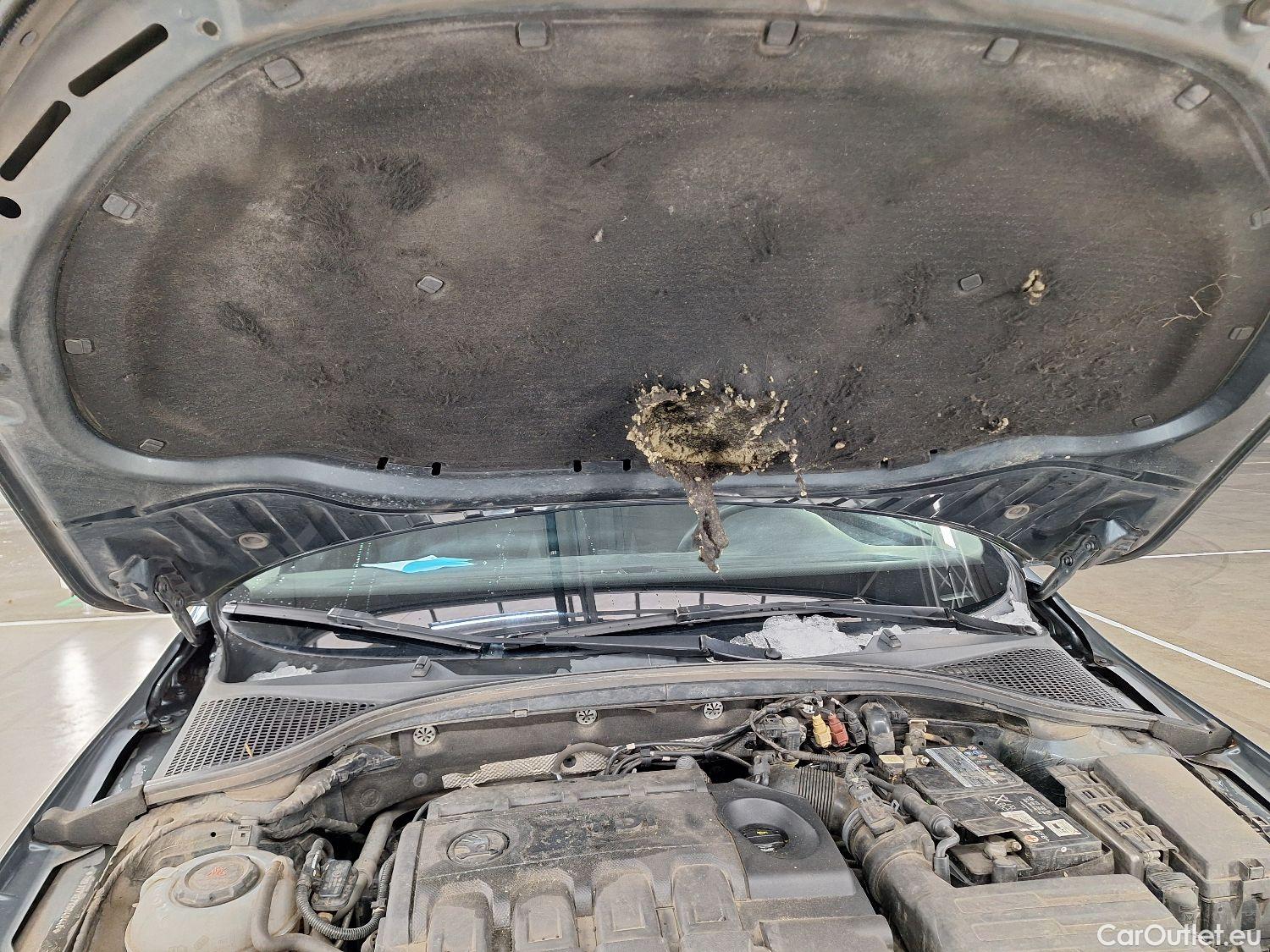  Skoda  Octavia Skoda,  Combi FL'16, Skoda  Combi 1.6 CRTDI GreenTec 85kW DSG7 A #95