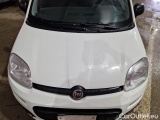  Fiat  Panda FIAT  / 2011 / 5P / BERLINA 1.2 69CV SeS E6D-TEMP EASY #26