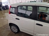  Fiat  Panda FIAT  / 2011 / 5P / BERLINA 1.2 69CV SeS E6D-TEMP EASY #37