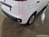 Fiat  Panda FIAT  / 2011 / 5P / BERLINA 1.2 69CV SeS E6D-TEMP EASY #39
