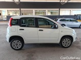  Fiat  Panda FIAT  / 2011 / 5P / BERLINA 0.9 TWINAIR TURBO NATURAL POWER EASY #7