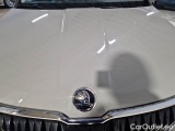  Skoda  Karoq SKODA  / 2022 / 5P / SUV 2.0 TDI 85KW EVO SCR EXECUTIVE DSG #24