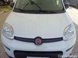  Fiat  Panda FIAT  / 2011 / 5P / BERLINA 0.9 TWINAIR TURBO 85CV WILD 4X4 #22