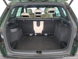  Skoda  Karoq  Style 2.0 TDI 115CV BVA7 E6d #10