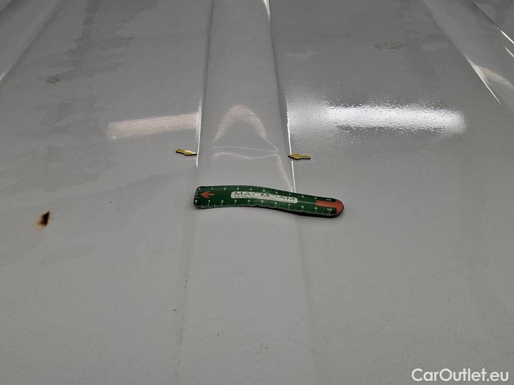  Renault  Kangoo  Express Maxi Extra (Série Spéciale) 1.5 #19