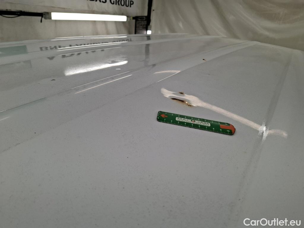  Renault  Kangoo  Express Maxi Extra (Série Spéciale) 1.5 #21