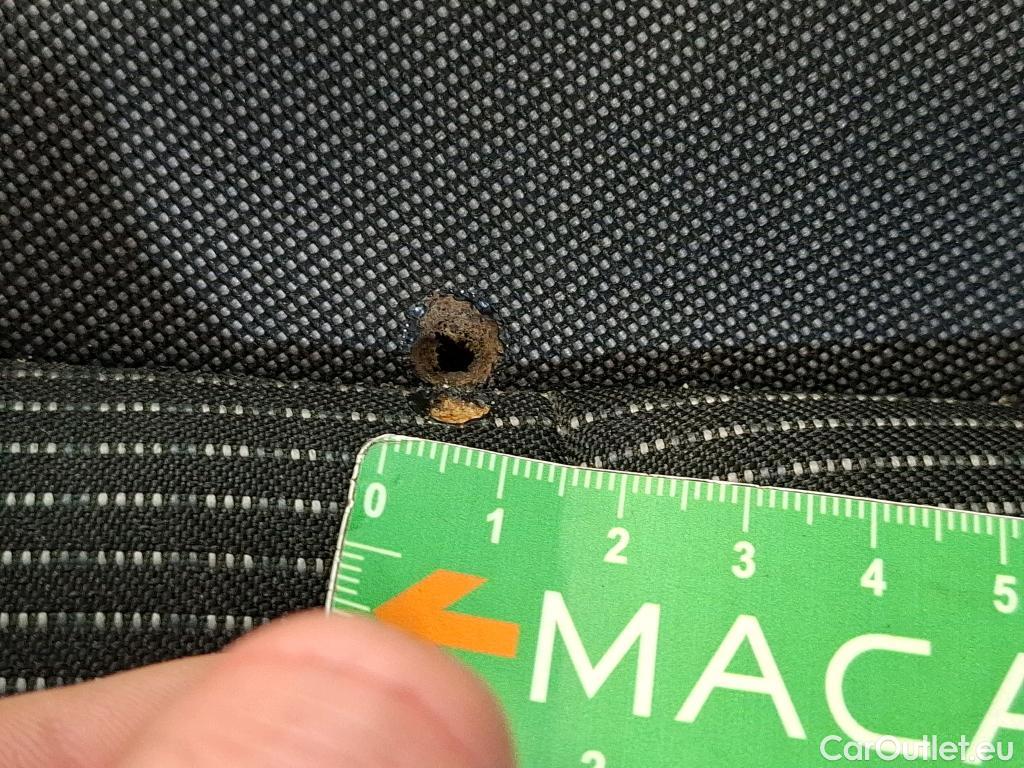  Skoda  Octavia  Break Business 2.0 TDI 115CV BVA7 E6d #14