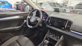 Skoda  Karoq 2.0 TDI SCR DSG  55 #25