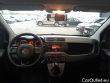 Fiat  Panda FIAT  / 2011 / 5P / BERLINA 1.2 69CV SeS E6D-TEMP EASY #3