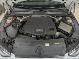  Audi  A4  Avant 45 TDI quattro S line 3.0 TDI 170KW AT8 E6dT #15