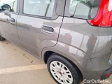  Fiat  Panda FIAT  / 2011 / 5P / BERLINA 1.0 FIREFLY 70CV SeS HYBRID #34