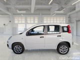  Fiat  Panda FIAT  / 2011 / 5P / BERLINA 0.9 TWINAIR TURBO NATURAL POWER EASY #8