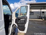  Fiat  Ducato FIAT  / 2014 / 4P / CAB DOPPIA CON CASSONE FISSO MAXI 35 XLH1 2.3 MJET 140CV ALU D.C. #119