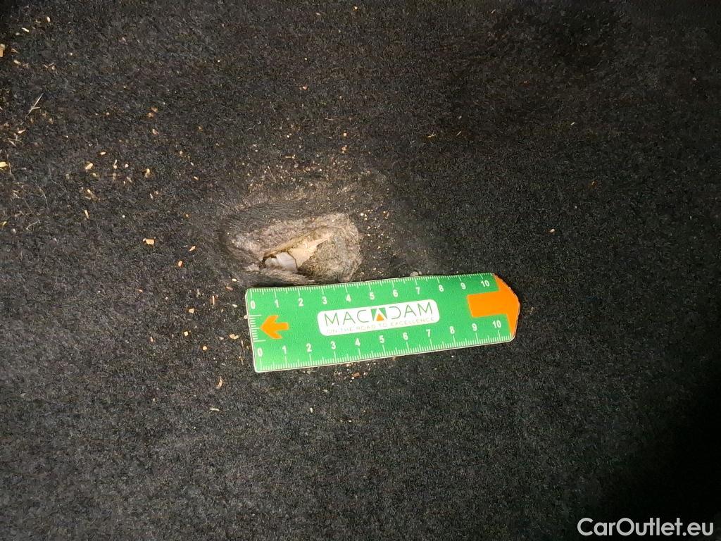  Skoda  Karoq  Business 2.0 TDI 150CV BVM6 E6dT #11