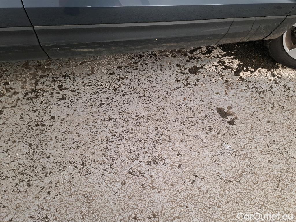  Skoda  Karoq SKODA  / 2017 / 5P / SUV 2.0 TDI 116ch DSG7 Ambition #41