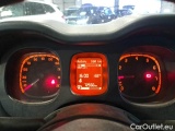  Fiat  Panda FIAT  / 2012 / 5P / BERLINA 1.2 69 CV VAN 2 POSTI EURO6 POP #4