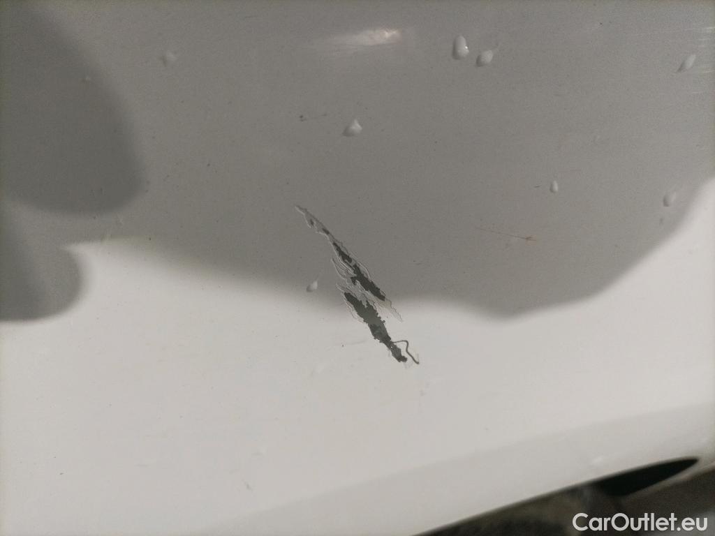  Renault  Kangoo  II Profesional 1.5 dCi 95CV MT6 E6dT #13