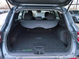  Renault  Kadjar 1.5 DCI 115 BUSINESS EDC #13