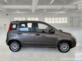  Fiat  Panda FIAT  / 2011 / 5P / BERLINA 1.0 FIREFLY 70CV SeS HYBRID #7