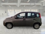  Fiat  Panda FIAT  / 2011 / 5P / BERLINA 1.0 FIREFLY 70CV SeS HYBRID #8