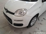 Fiat  Panda FIAT  / 2011 / 5P / BERLINA 1.2 69CV E6D-TEMP EASY #38