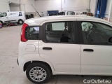  Fiat  Panda FIAT  / 2011 / 5P / BERLINA 1.2 69CV E6D-TEMP EASY #40