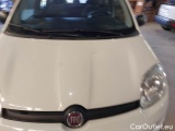  Fiat  Panda FIAT  / 2011 / 5P / BERLINA 1.0 FIREFLY 70CV SeS HYBRID #102
