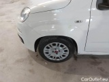  Fiat  Panda FIAT  / 2011 / 5P / BERLINA 1.0 FIREFLY 70CV SeS HYBRID #110