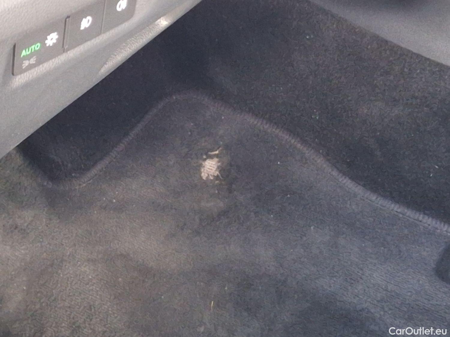  Skoda  Octavia Skoda,  Combi '20, Skoda  Combi 2.0 CRTDI 85kW Clever+ 5d #33