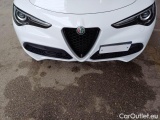  Alfa Romeo   STELVIO ALFA ROMEO / 2017 / 5P / SUV 2.2 TURBO DIESEL 190CV SPRINT AT8 Q4 #52