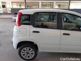  Fiat  Panda FIAT  / 2011 / 5P / BERLINA 0.9 TWINAIR TURBO NATURAL POWER EASY #76