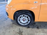  Fiat  Panda FIAT  / 2011 / 5P / BERLINA 1.2 69CV SeS E6D-TEMP EASY #20