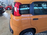  Fiat  Panda FIAT  / 2011 / 5P / BERLINA 1.2 69CV SeS E6D-TEMP EASY #42