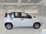  Fiat  Panda FIAT  / 2011 / 5P / BERLINA 1.2 69CV SeS E6D-TEMP EASY #7
