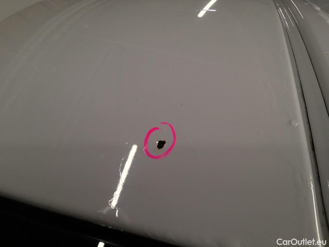  Volkswagen  Caddy  TDI 110 Maxi 4WD Aut. #16