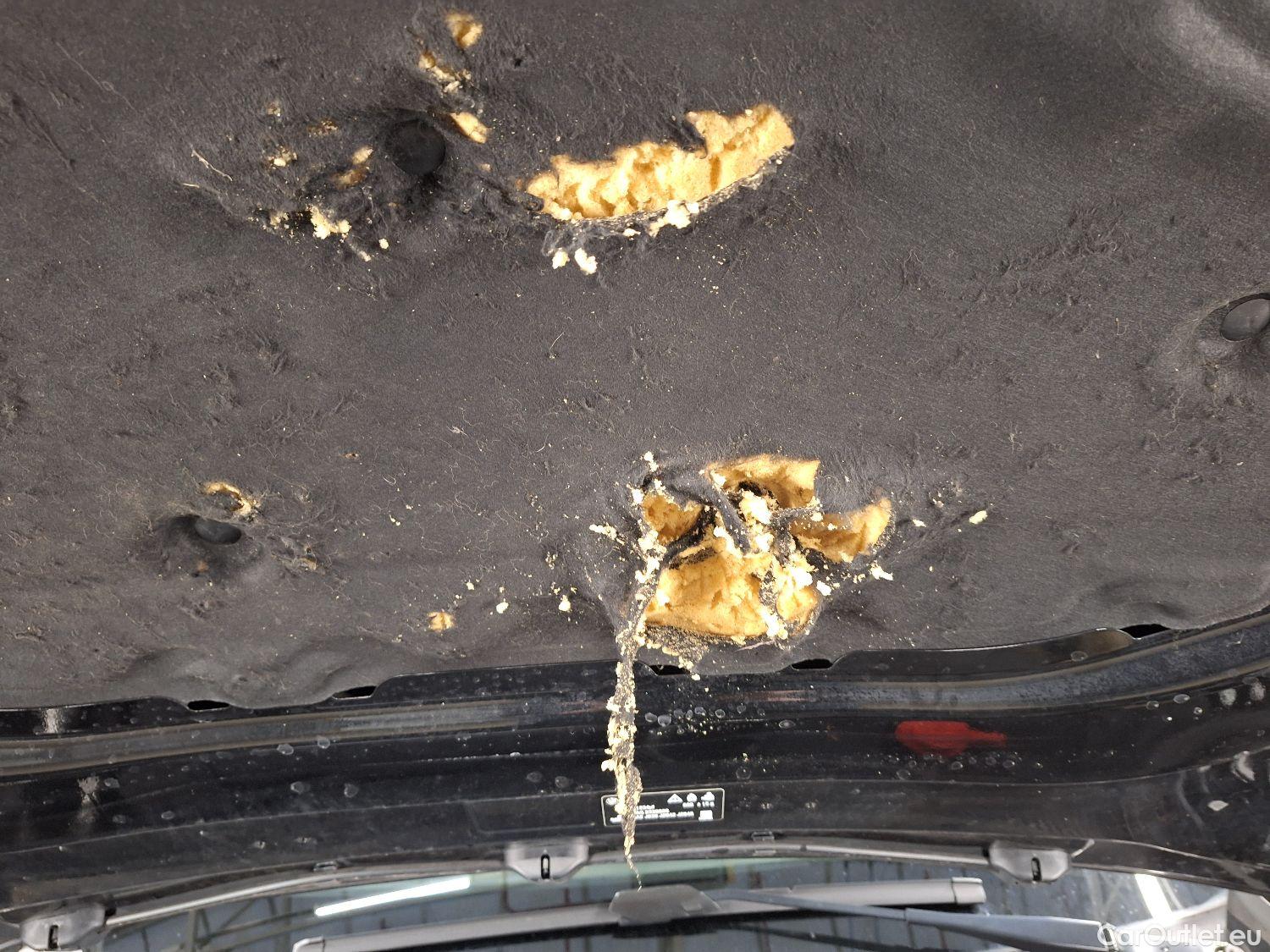  Bmw  Serie 1 BMW, 1-serie '19, BMW 1 Reeks Hatch 118iA (100 kW) 5d #42