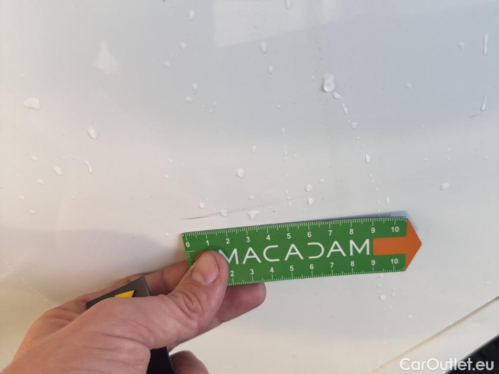  Ford  Focus  Turnier Trend Business 1.5 EcoBlue 95CV BVM6 E6dT #14