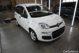  Fiat  Panda  Easy 1.2 51KW MT5 E6dT #7