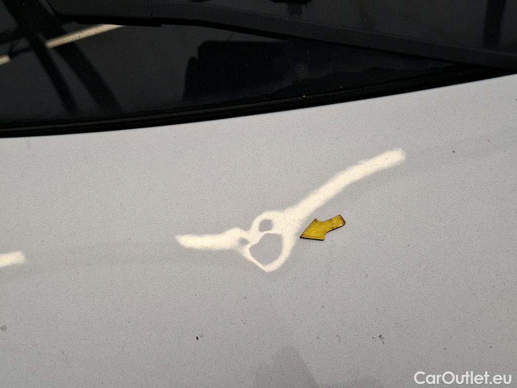  Renault  Clio  V Business 1.5 dCi 115CV BVM6 E6dT #21