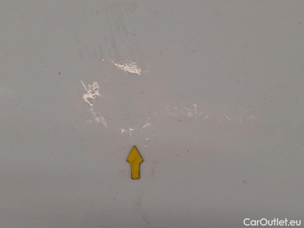  Renault  Kangoo  Express Grand Confort (L1) 1.5 dCi 90CV BVM5 E6 #19