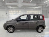  Fiat  Panda FIAT  / 2011 / 5P / BERLINA 1.0 FIREFLY 70CV SeS HYBRID #8