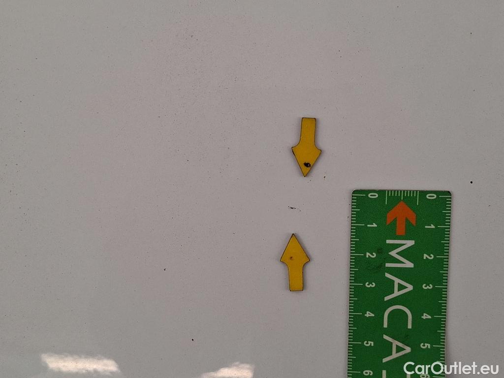  Renault  Kangoo  Express Maxi Extra (Série Spéciale) 1.5 dCi 90CV BVM5 E6 #27