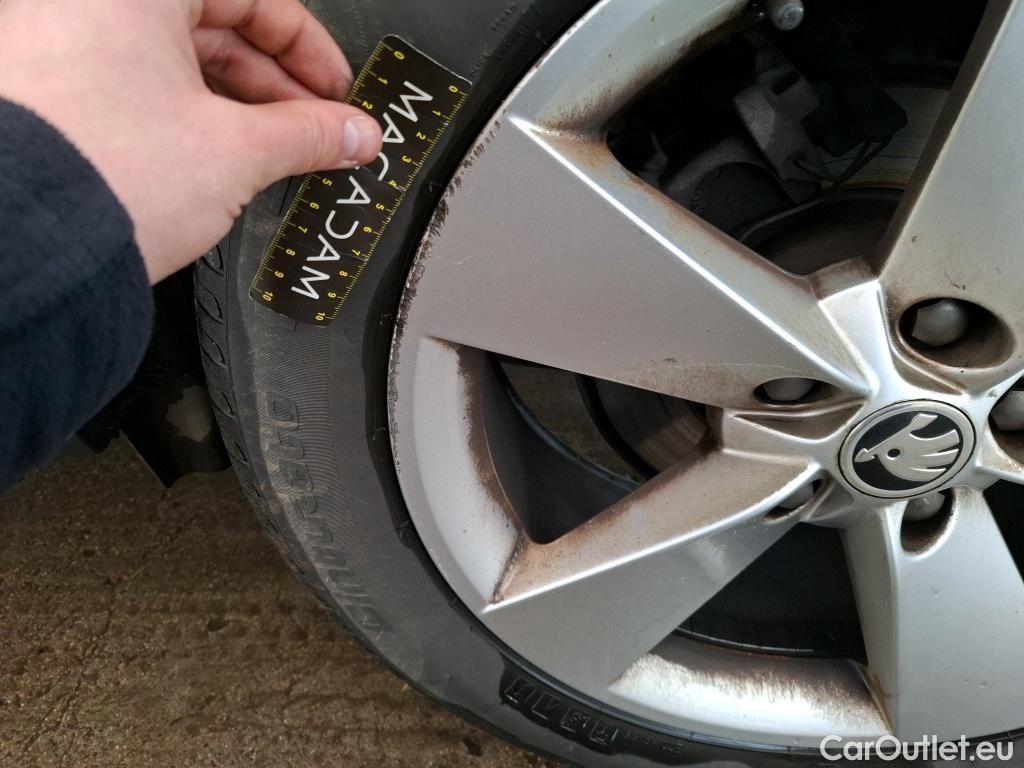  Skoda  Karoq  Business 1.6 TDI 115CV BVM6 E6dT #24